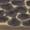 Top Knobs Brass Antique finish sample